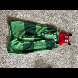 Very hungry caterpillar swaddle/costume